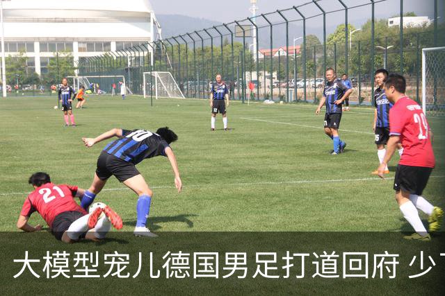 大模型宠儿德国男足打道回府 少了人性观察数据等于废纸