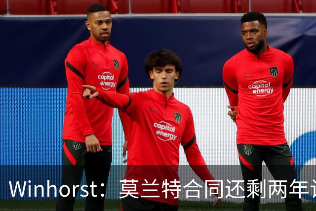 Winhorst：莫兰特合同还剩两年让交易他很困难 接手球队风险很大